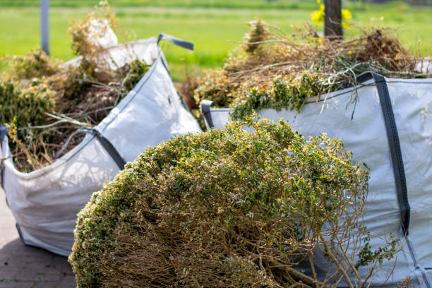 Basement Cleanout Services in Dunlap, IN